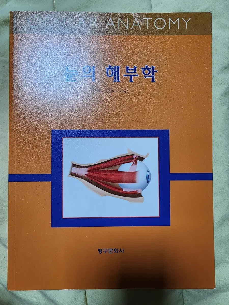 눈의 해부학 외 안경학과 관련 서적